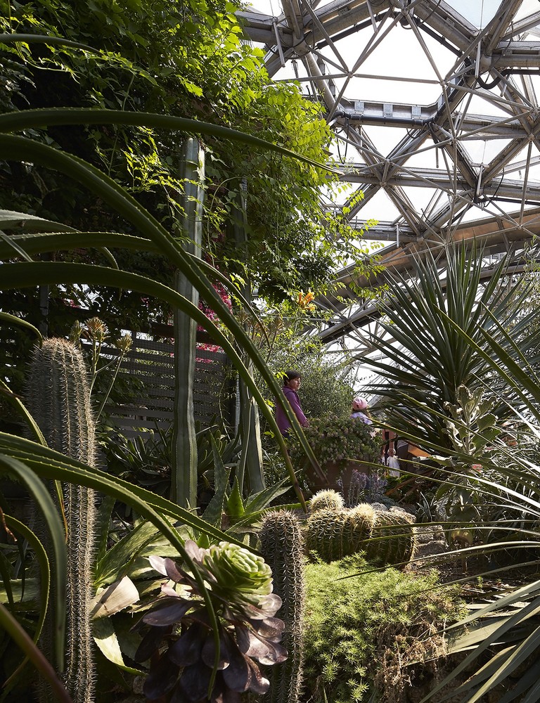 Sharjah Botanical Garden Project2