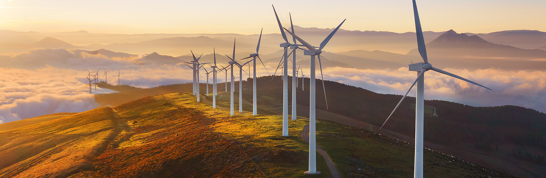 Riyah 2 Wind Power Plant Project