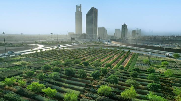 TSE Irrigation Network Project - Green Riyadh (Lot 2)